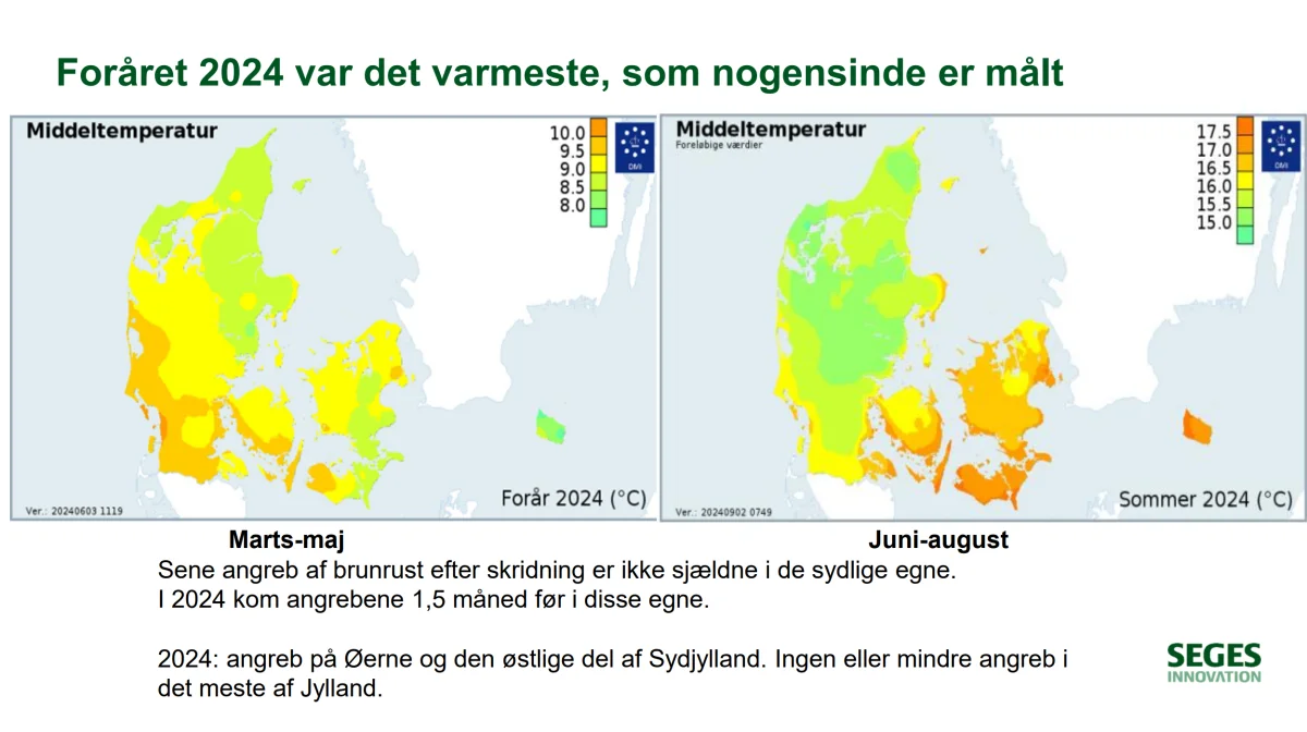 Brunrust var i 2024 kraftigst i de varmeste (orange) egne af landet.