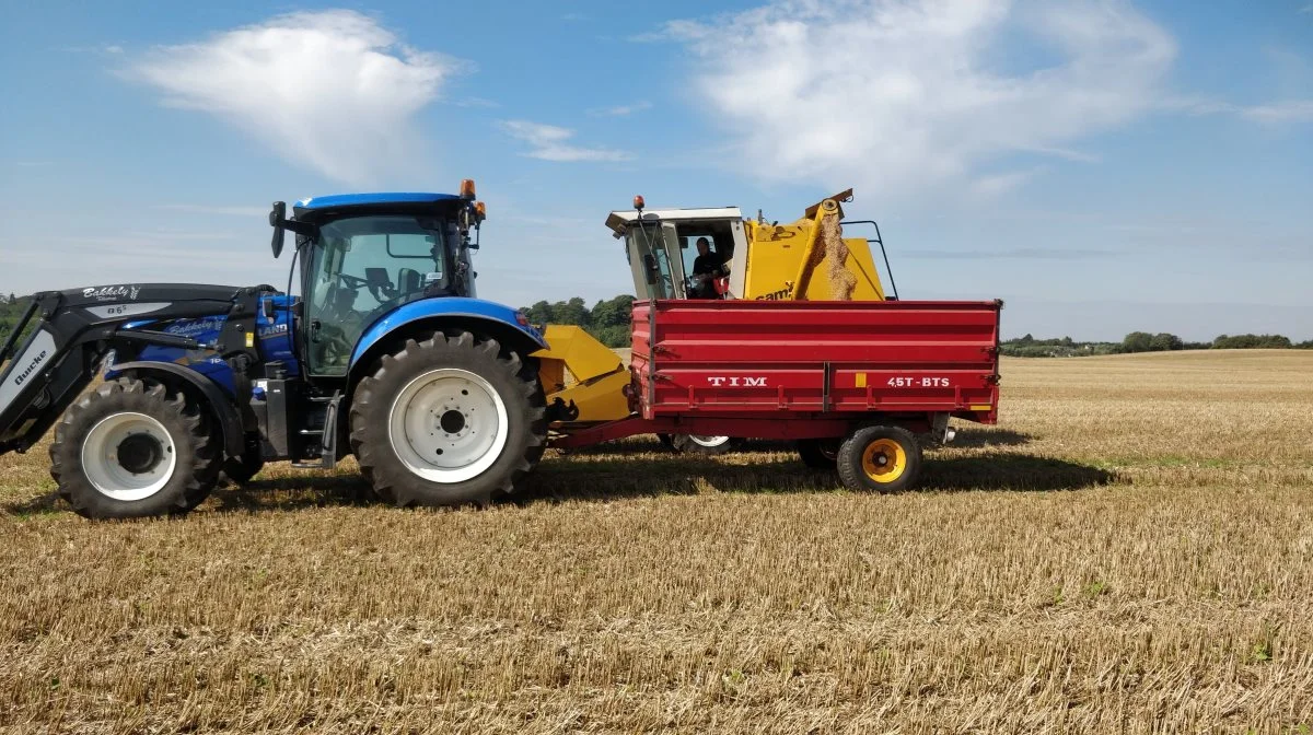 Parceller hos Søren Haugaard ved Jerslev i Vendsyssel efter principperne for conservation agriculture har givet 0,6 tons mere pr. hektar i gennemsnit over årene og på tværs af afgrøder, siden Carbon Farm-forsøgene blev anlagt i 2017. Foto: FRDK