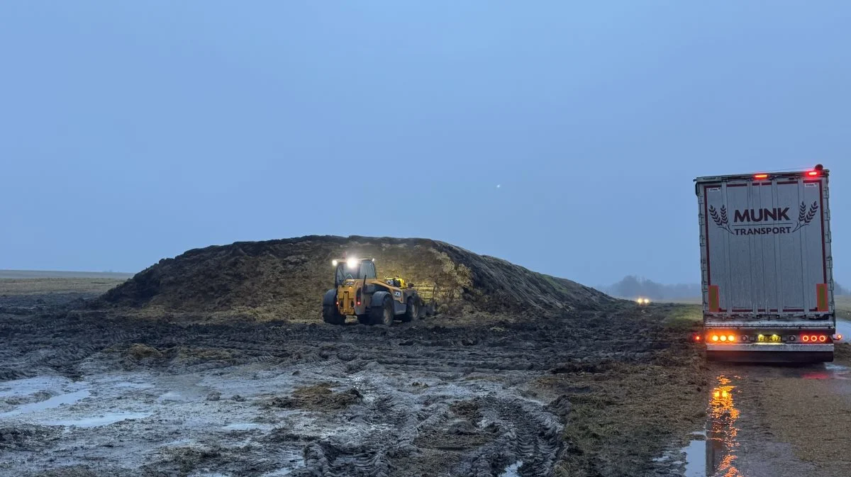 Halm er én af de biomasser, der vurderes at komme til at fylde meget i biogasanlæggene fremover. Her læsses snittet frøgræshalm i det himmerlandske. Foto: Kasper Stougård 