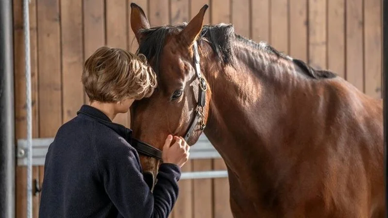 Reduceret vandindtag er en væsentlig årsag til kolik, advarer Agrias hestedyrlæge, Jon Vedding, der derfor opfordrer hesteejere til at tilbyde hesten vand fra et isoleret eller opvarmet vandkar på folden. Dyrlægen anbefaler desuden at benytte en vandspand i stalden for at kunne holde øje med, hvor meget den enkelte hest indtager. Foto: Agria