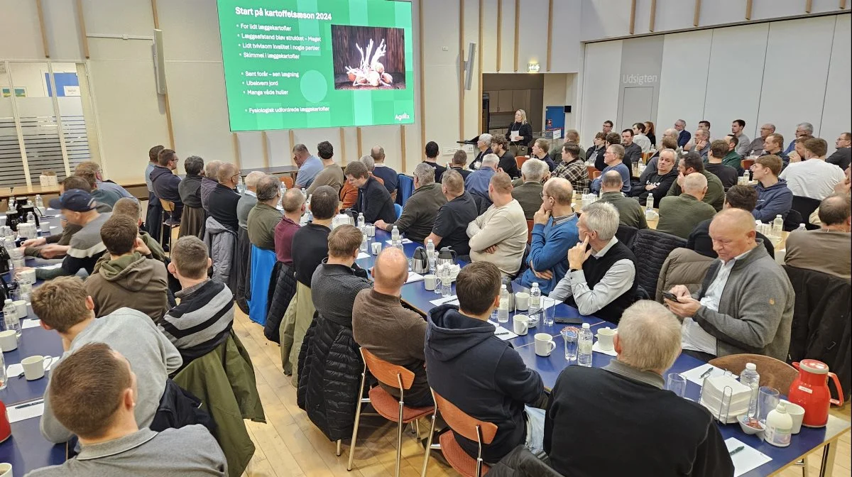 Over 130 tilhørere lagde vejen forbi Agillix' Kartoffelnytårskur.