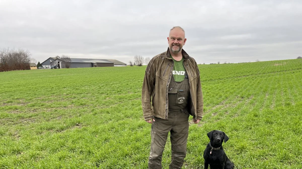 - Jeg plejer at kalde mig selv for både direktør og formand for Pilegård, så der er nok at se til, fortæller den midtfynske landmand Ulrich Rasmussen, her sammen med hunden Sif foran en af bedriftens hvedemarker. Foto: Christian Ingemann