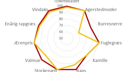 Effekter i procent opnået i landsforsøg af 0,4 (orange kurve) og 0,7 (mørkerød kurve) liter Mateno Duo pr. hektar. Kilde: Oversigt over Landsforsøgene 2018