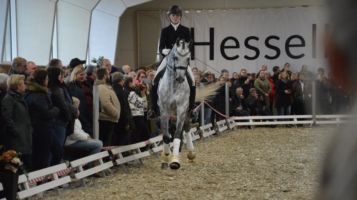 Hesselhoej inviterer til hingstefremvisning lørdag den 22. marts. Foto: Camilla Bønløkke