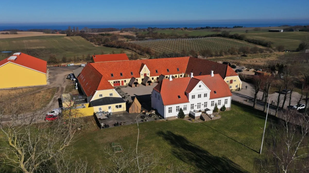 Danmarks største vingård, Dyrehøj Vingaard på Røsnæs i Vestsjælland, er kommet på nye hænder. Foto: EDC Poul Erik Bech