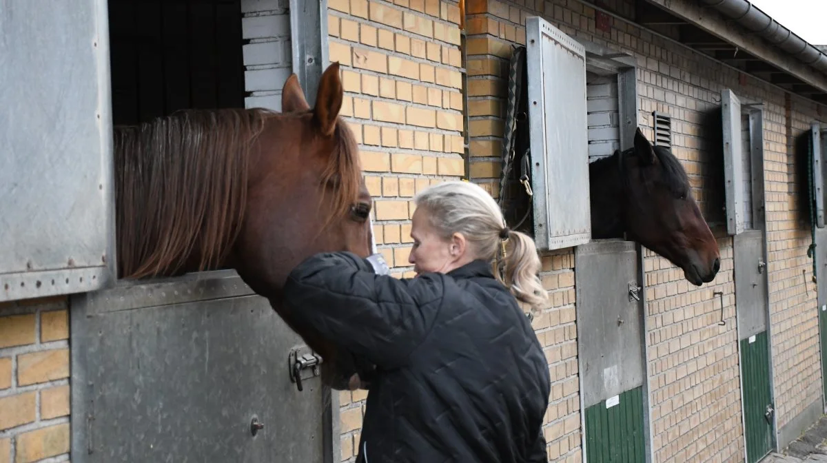 Lotte Larsen startede som ridepige, blev siden galoppige, inden hun blev bidt af travsporten.