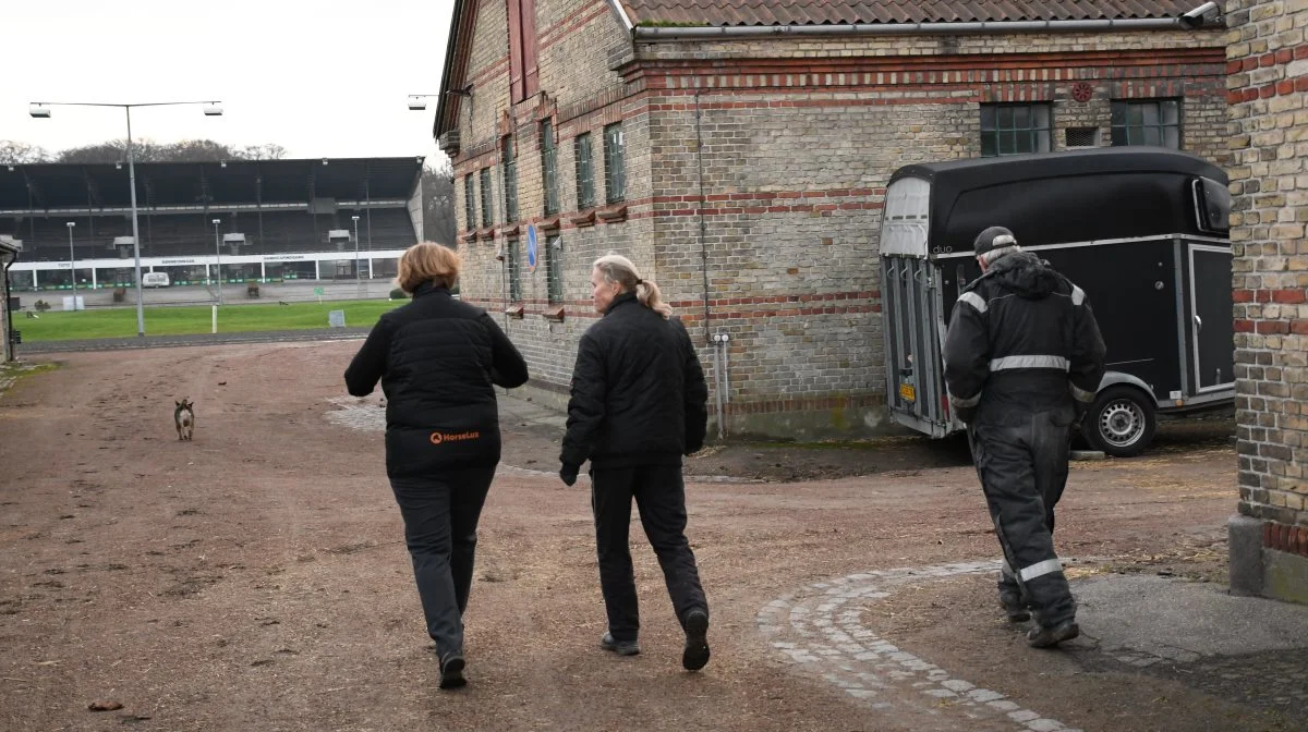 Snakken går lystigt om minder og forventninger til hestene, da produktkonsulent Lillian Hestekjær fra HorseLux er forbi i stalden hos Lotte og Axel.