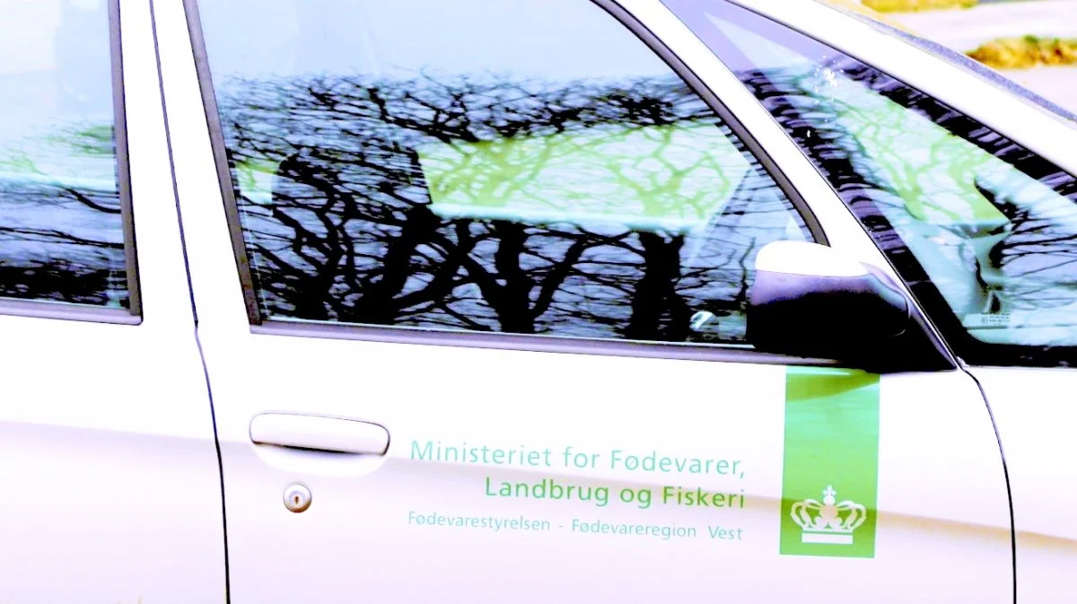 Fra den 1. februar sætter Fødevarestyrelsen en kontrolkampagne i søen, som kommer til at vare ikke mindre end 10 måneder. Arkivfoto: Anne Wolfenberg