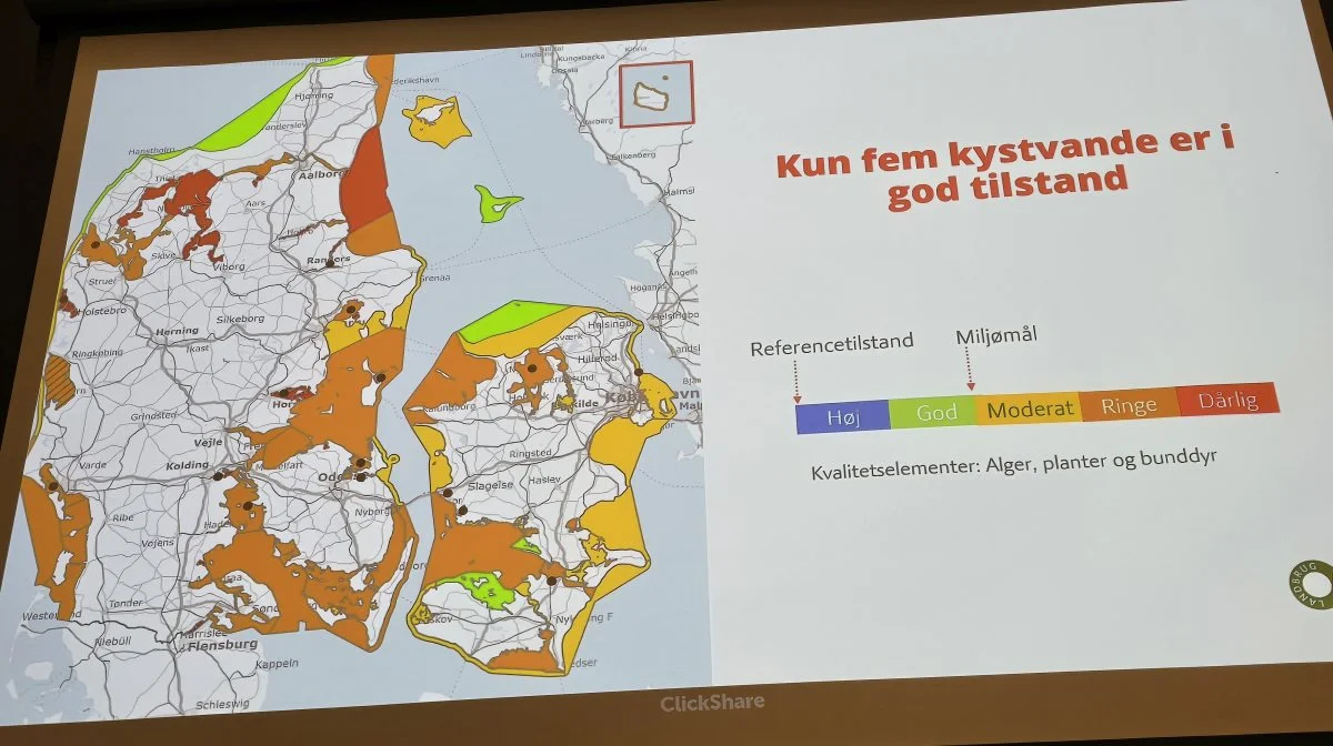 - Især i de indre fjorde vil kvælstofaftalen komme til at gøre meget ondt. Men andre erhvervs påvirkning skal også bidrage i vurderingerne, understregede formanden.