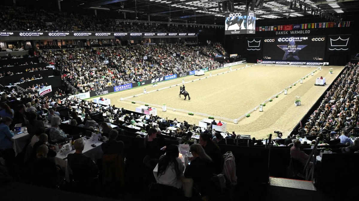 Stemningen er fantastisk inde i Boxen, når der afvikles internationale dressurklasser. Foto: Ridehesten.com