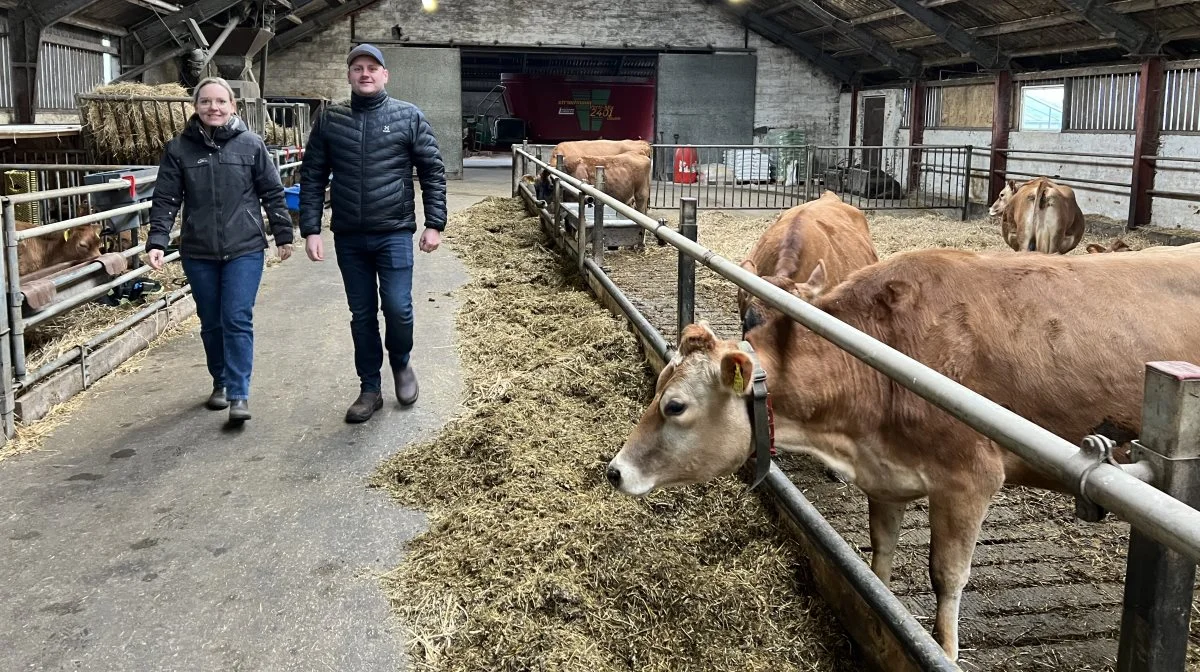 - Vi får besøg af skolerne i Bøvling og Ramme samt enkelte gange også fra Lemvig. Det er typisk fjerde klasser, som hører om, hvordan vi sender køerne på græs og hvor meget mælk de giver. Småkalvene er også altid et hit ved besøgene, siger Jeppe Bagge.