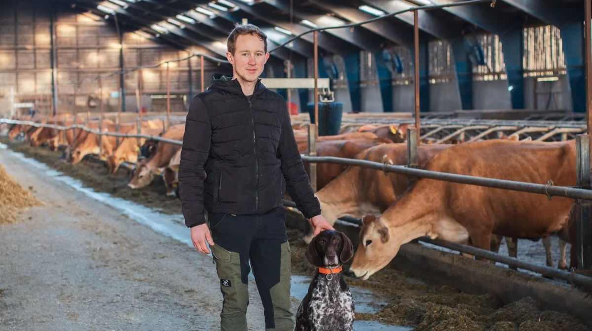 24-årige Emil Bruun frygter, at han først får udbetalt etableringsstøtten i slutningen af 2026. - Så er det lige pludselig lidt udfordrende, lyder det fra den unge landmand. Foto: Regitze Christensen, Mammen Mejerierne A/S