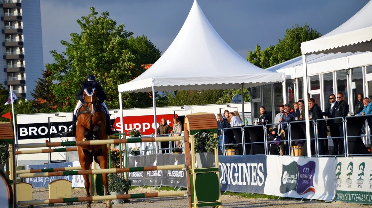 Nu skal influenzavaccinationer indtastes i FEI HorseApp, hvis du rider internationale stævner. Arkivfoto: Camilla Bønløkke