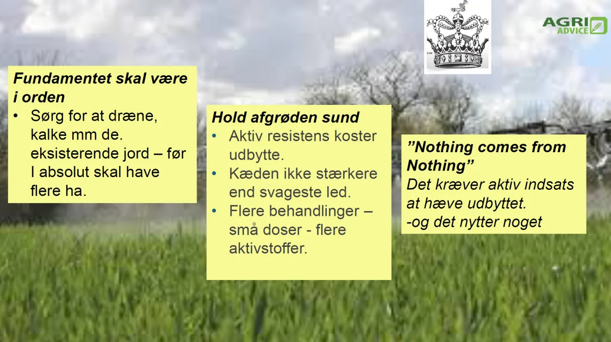 Konklusionen fra Hans Jørgen Baks indlæg »Uden fundament og strategi – intet topudbytte«. 