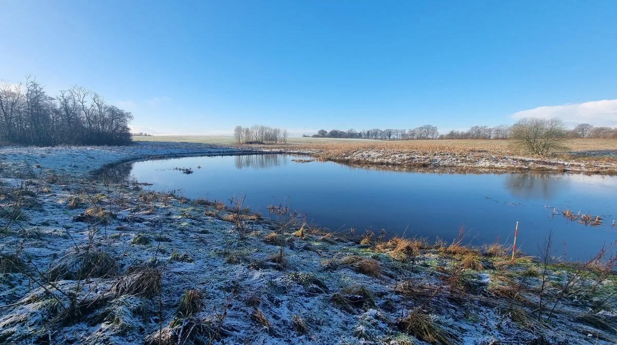 Lodsejere opfordres til at sende deres anmodning hurtigst muligt, så kommunen kan vurdere, om et minivådområde er en bedre løsning end et større vådområde. Arkivfoto