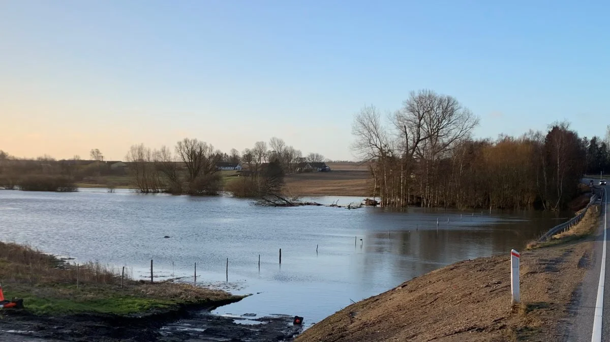 Vandstanden i Susåen – her ved Vetterslev syd for Ringsted – er alt for høj, og markerne står under vand. Foto: Jesper Hallgren