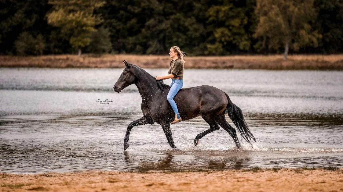 Hollandske Yvet Blokesch fra Feather Light Academy demonstrere sit arbejde med hestene Mellow og Imola i en spændende clinic præsenteret af Hestemediet torsdag aften. Foto: Laura Oonk Photography