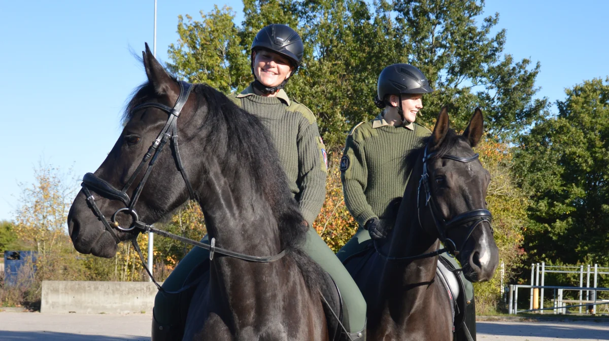 Der er fornem modtagelse af den flotte nye friser Oliver F og Dansk Varmblod vallakken Fønix, da Hestemediet ankommer til kasernen i Slagelse. Fotos: Camilla Bønløkke