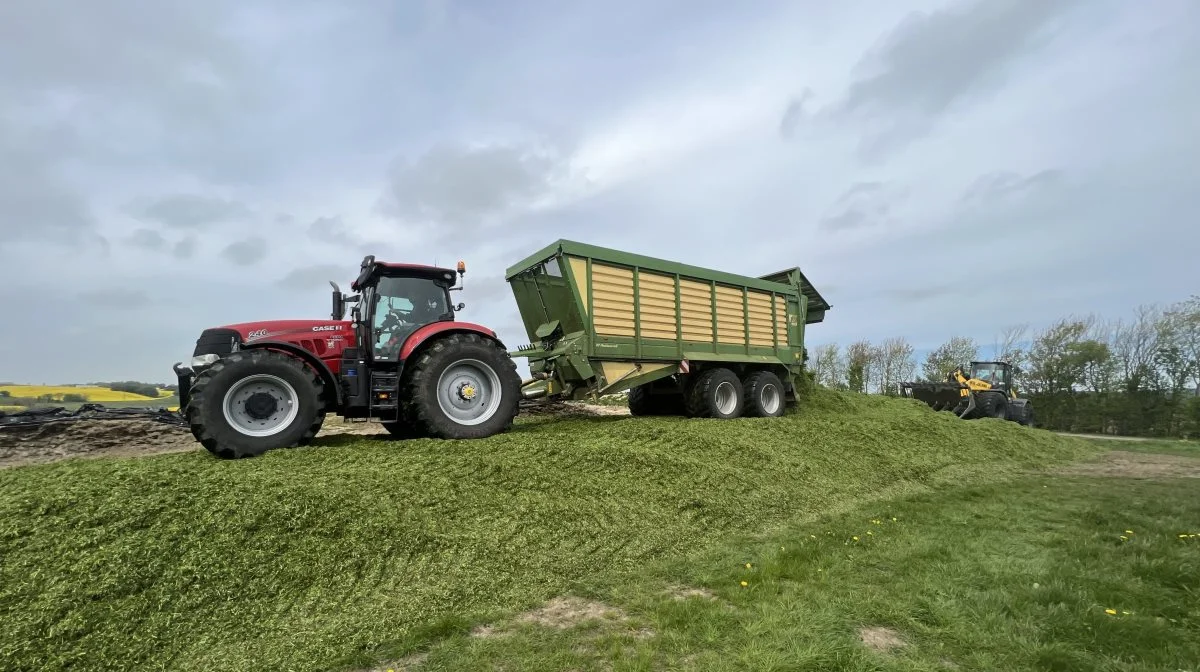 RB FarmSuply præsentere en ny majssort og en sukkerholdig græs. Arkivfoto: Kasper Stougård