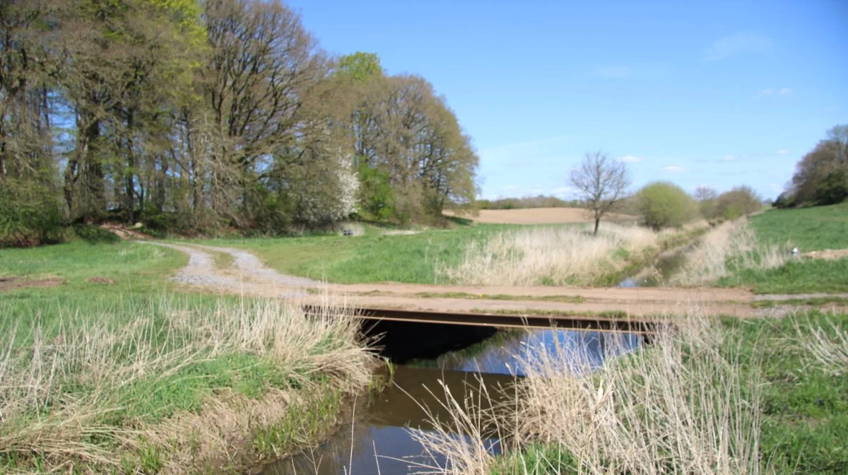 Der kommer meget mere skov i Danmark som en udløber af den grønne trepartsaftale. Og i den forbindelse er produktionsskov langt mere bæredygtigt end urørt skov, lyder det. Arkivfoto: Morten Ipsen