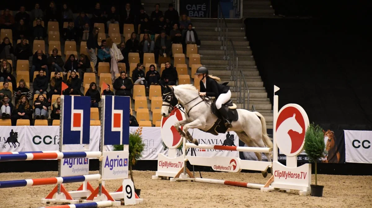 Ponyrytterne er i fuld gang under årets Scandinavia Jumping Tour i Odense. Fotos: Camilla Bønløkke