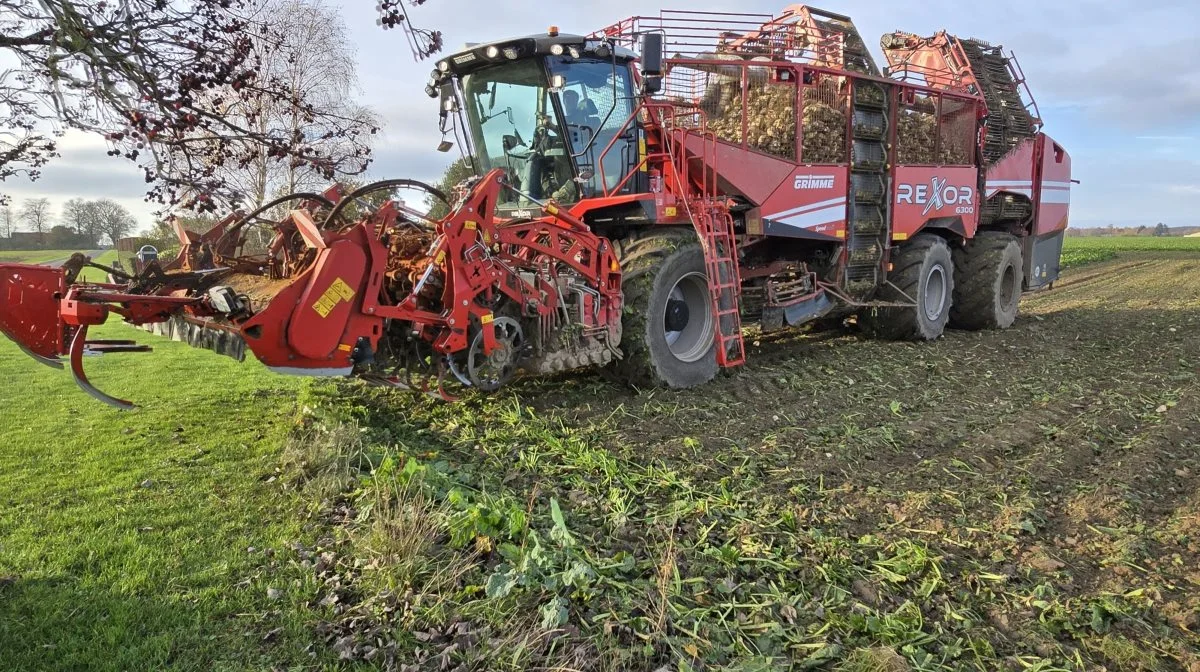 Grimme Skandinavien er klar med en række nyheder i 2025 – blandt andet en ny option omkring tilpasningshastighed af roeoptagerne i Rexor-serien. Arkivfoto

