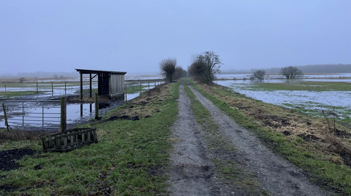 Brak- og vådområdearealer – plus en hestefold – præger området bag godsets hovedbygning. Godsejeren var en af pionererne indenfor vådområder tilbage i 2008. Foto: Christian Ingemann