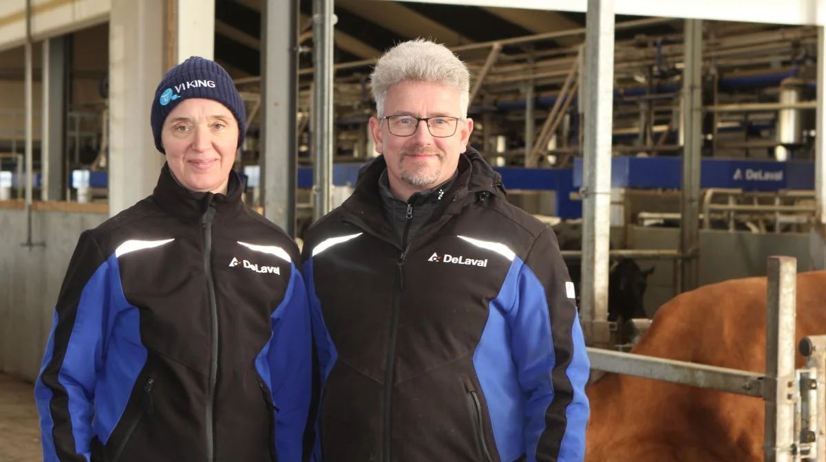 Lene og Michael Jensen har fulgt med udviklingen inden for kvægbruget, og et af de seneste tiltag på Havredalsgård er 14 nye DeLaval-malkerobotter i et batch milking-system. Fotos: Line Brusgaard