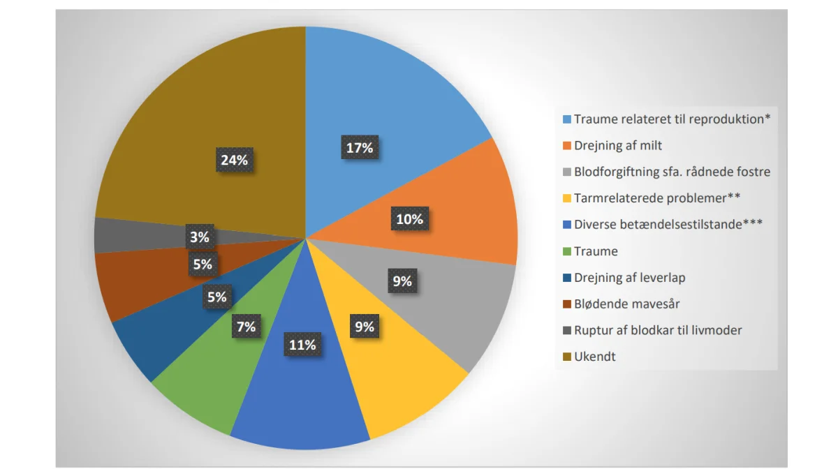 Fordeling af dødsårsager blandt alle søer i studiet (n=111, da tre søer fik tildelt to dødsårsager). *: Drejning af livmoder, fastklemte fostre, skader i fødselsveje, prolaps af livmoderhals/livmoder. **: Drejning af tyndtarm, indeklemning af tyndtarmssegment (intussuseption), tarmblødning og rektal prolaps. ***: Lunge-, lungehinde-, bughinde-, yver- og livmoderbetændelse og blodforgiftning. Kilde: »Kortlægning af dødsårsager hos danske søer«, Aarhus Universitet