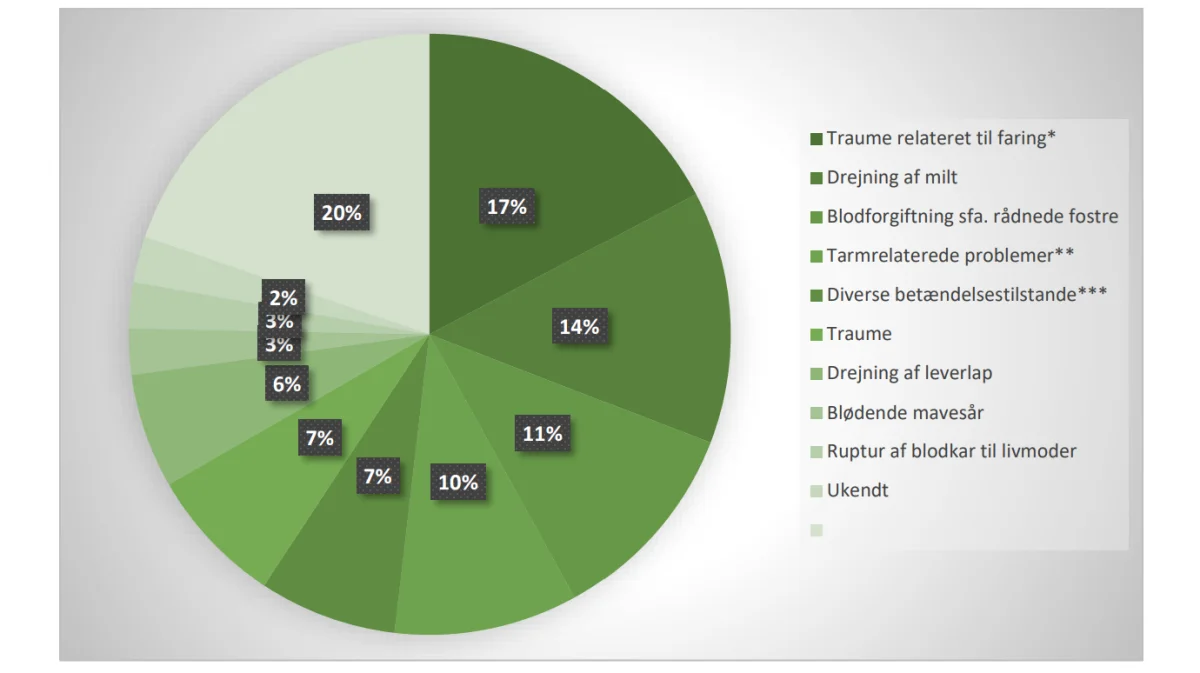 Fordeling af dødsårsager blandt 78 ikke-drægtige søer (tre søer fik tildelt to dødsårsager). *: Prolaps af livmoder, fastklemte fostre, skader i fødselsveje. **: Drejning af tyndtarm, indeklemning af tyndtarmssegment (intussuseption), tarmblødning og rektal prolaps.***: Lunge-, lungehinde-, bughinde-, yver- og livmoderbetændelse og blodforgiftning. Kilde: »Kortlægning af dødsårsager hos danske søer«, Aarhus Universitet