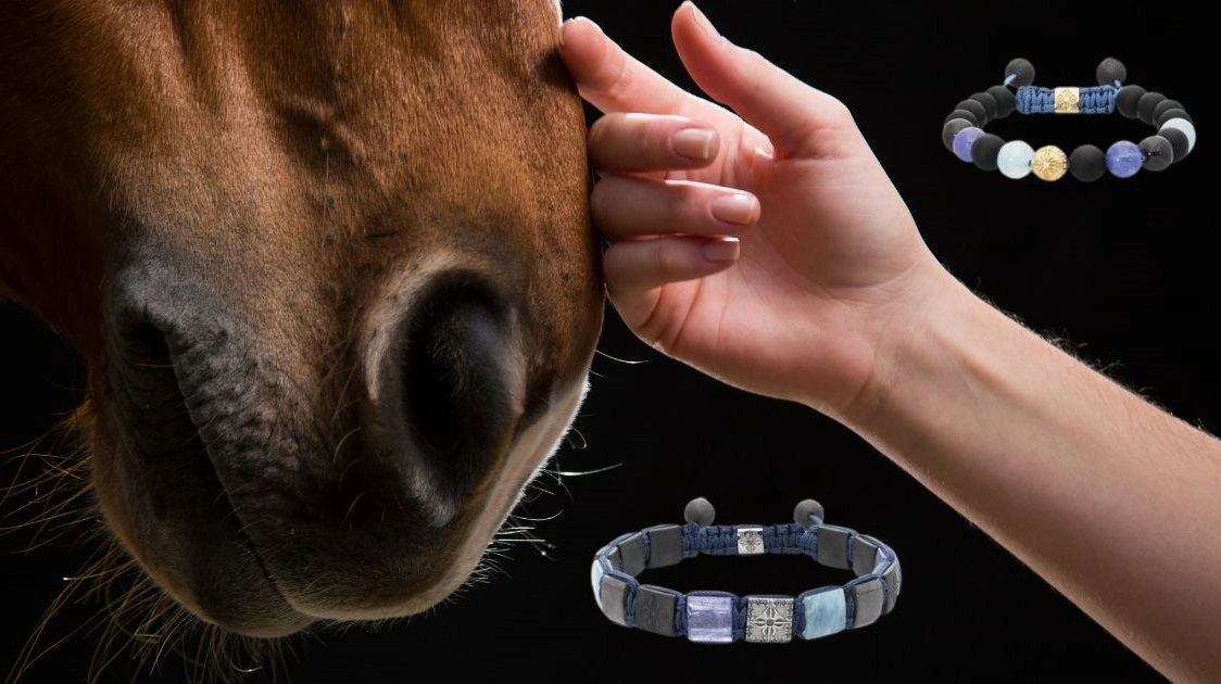 I år indstiftes en ny pris i forbindelse med forbundets Hingstekåring i Herning fra den 5.-9. marts: Dansk Varmblods Velfærdspris, præsenteret af Shamballa Jewels. Foto: Ridehesten.com