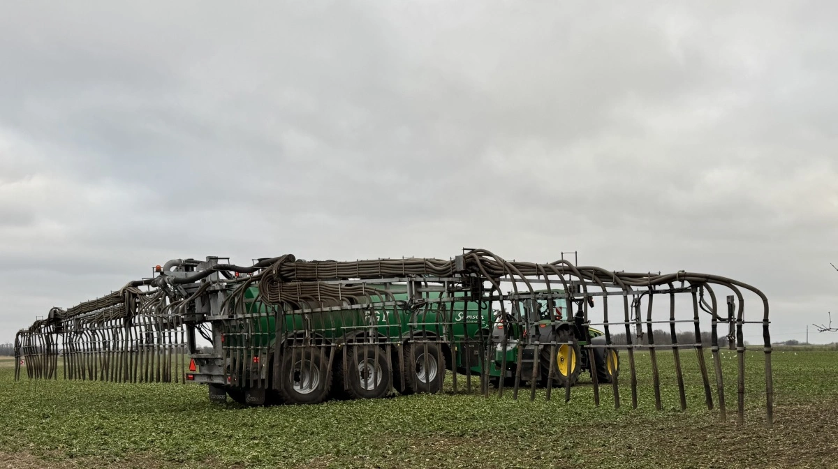 Føret er godt i marken lige nu, og det kan friste at komme ud med gyllen. Men hvis man ikke har brug for at tage toppen af tanken, opfordrer Yara til, at man venter med at starte gødskningen, til der er vækst i planterne. Foto: Kasper Stougård 