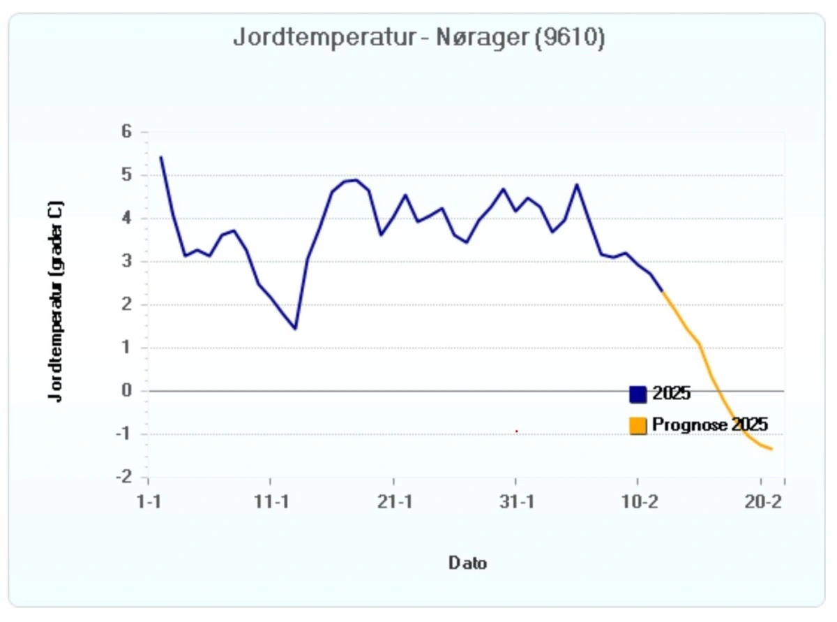 Prognosen for jordtemperatur ved Nørager i Himmerland tyder på, at den igen skal under frysepunktet. Man kan følge jordtemperaturen og prognosen herfor på Landbrugsinfo. Kilde: Seges Innovation