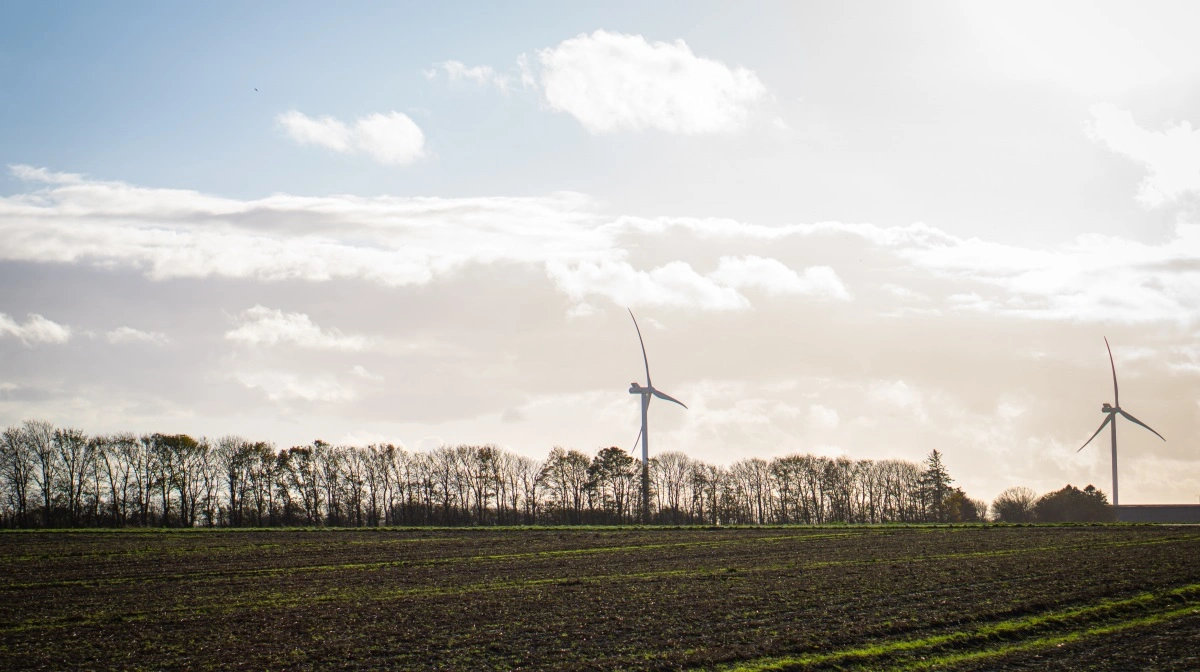 - I samarbejde med Energistyrelsen blev det konkluderet, at støjen stammer fra de nærliggende vindmøller, lyder konklusionen fra Force Technology-rapporten. På billedet ses de fra Hovmarksgård. Foto: Daniel Barber.