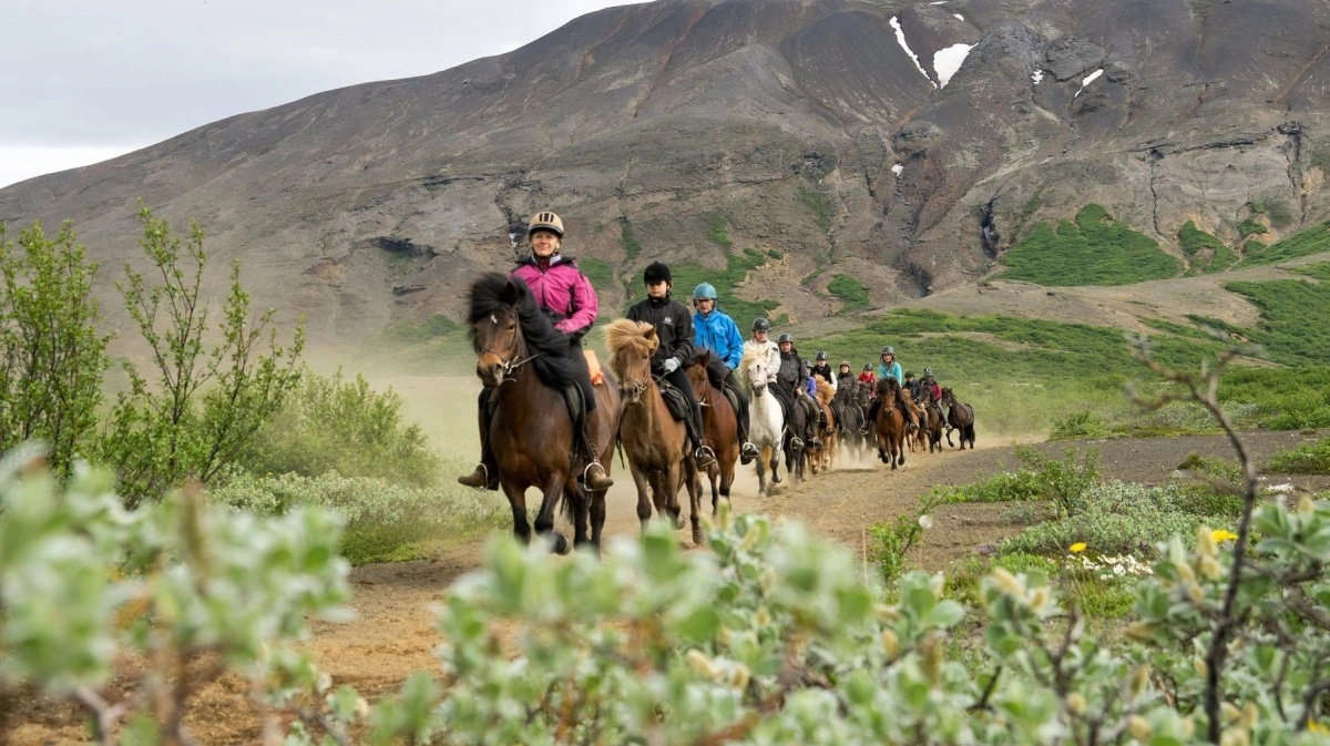 På en af rideturene kommer man blandt andet gennem nationalparken Thingvellir. Fotos: Travel Nord