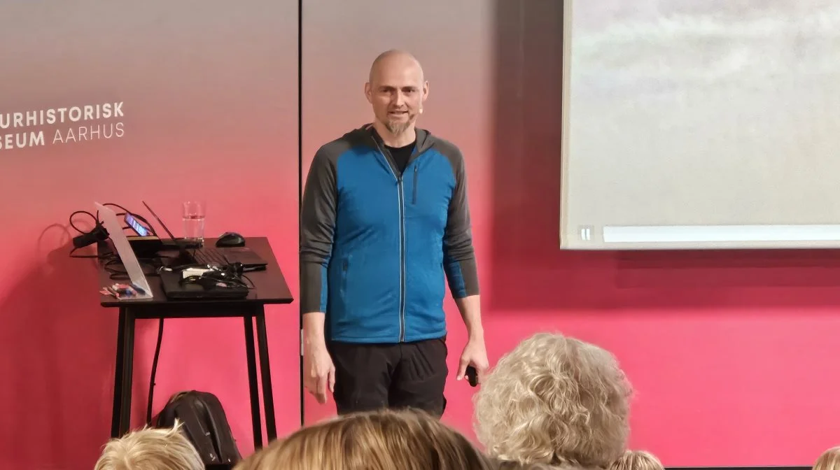 Én, der følger den danske ulvebestand tæt, er Kent Olsen, der foruden seniorforsker og videnskabelig chef ved Naturhistorisk Museum i Aarhus, også er leder af Den Nationale Ulveovervågning. Han gav i efterårsferien foredrag på netop Naturhistorisk Museum i Aarhus omkring ulveovervågningen og den forskning, der pågår omkring ulve i Danmark. Foto: John Ankersen