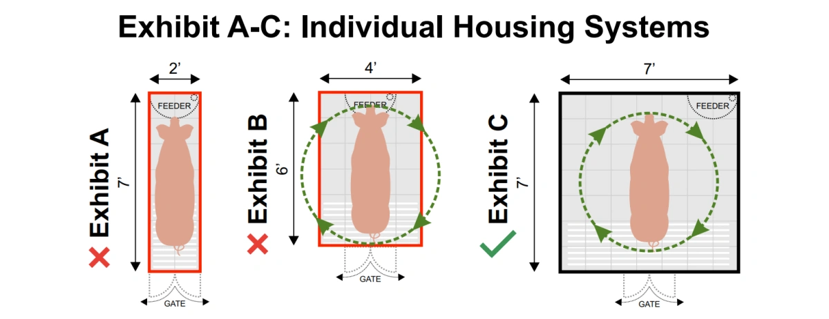 Californien stiller krav om, at soen skal kunne rejse og lægge sig og uhindret dreje om sin egen akse. Det betyder et farvel til traditionelle fikseringsbokse. Kilde: Prop 12 - Sow housing guide, cdfa.ca.gov