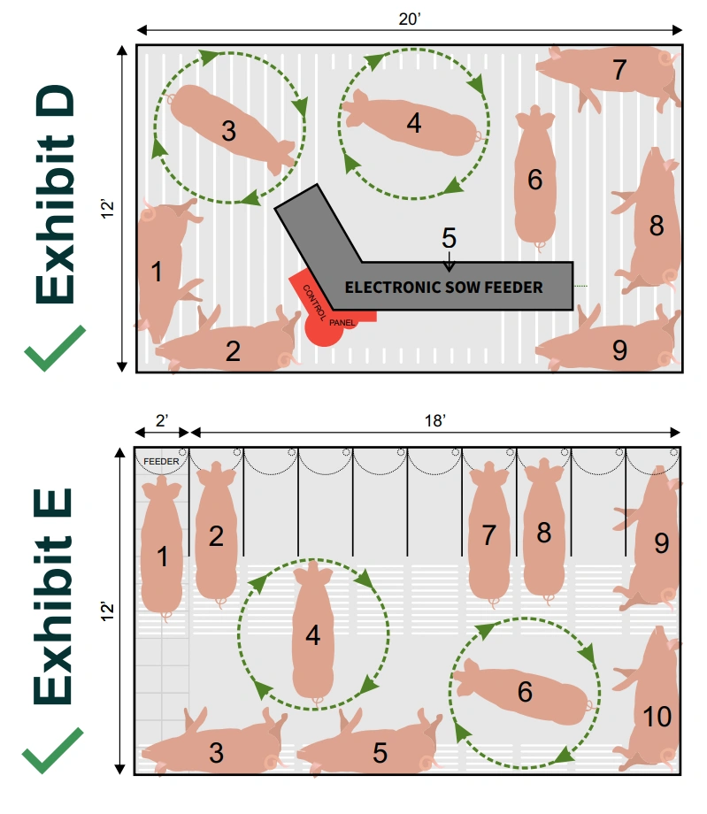 Eksempler på tilladte typer løsdrift for drægtige søer ifølge californisk lov. Kilde: Prop 12 - Sow housing guide, cdfa.ca.gov