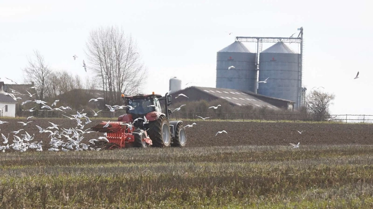 - Tiden er kommet til, at et samlet landbrug sætter hælene i og siger stop, skriver Bjarke Bjerg i debatindlægget. Arkivfoto