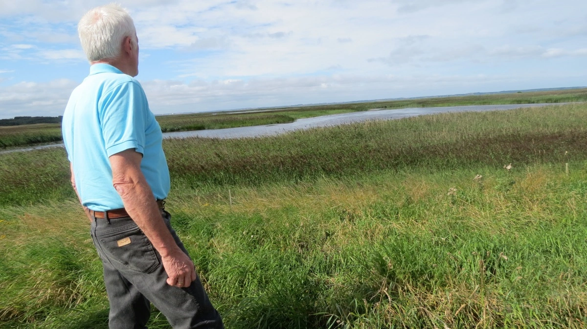 Ved at skabe en produktion af billigt ekstensivt græs, som er rigtig fint til biogas, har man fundet en model, hvor man kan undvære en stor del af husdyrproduktionens affald – nemlig gylle og møg, skriver Niels Hauge Mikkelsen. Fotoet har ikke noget specifikt med problematikken at gøre. Arkivfoto