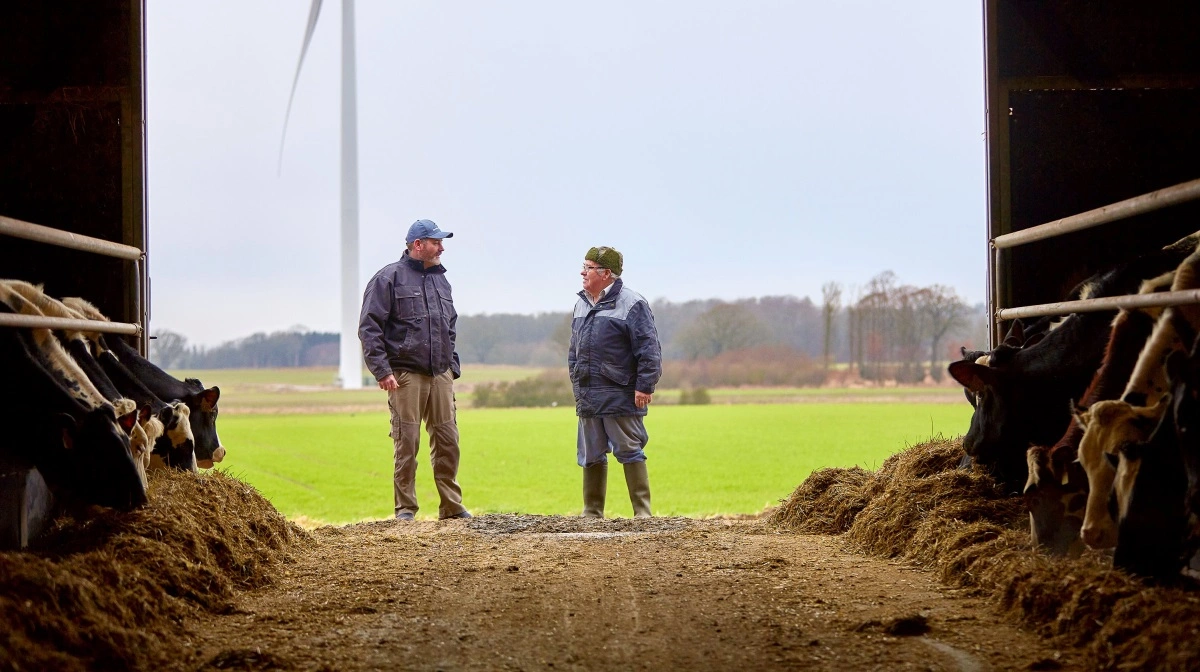 Arla Foods sender rekordstor udbetaling til landmændene på 292 millioner euro for året. Foto: Arla Foods