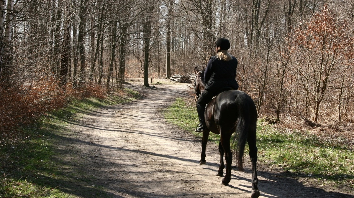 Det Sydfynske Alperidt inviterer til Distancedag - uden din hest - lørdag den 1. marts. Foto: Colourbox