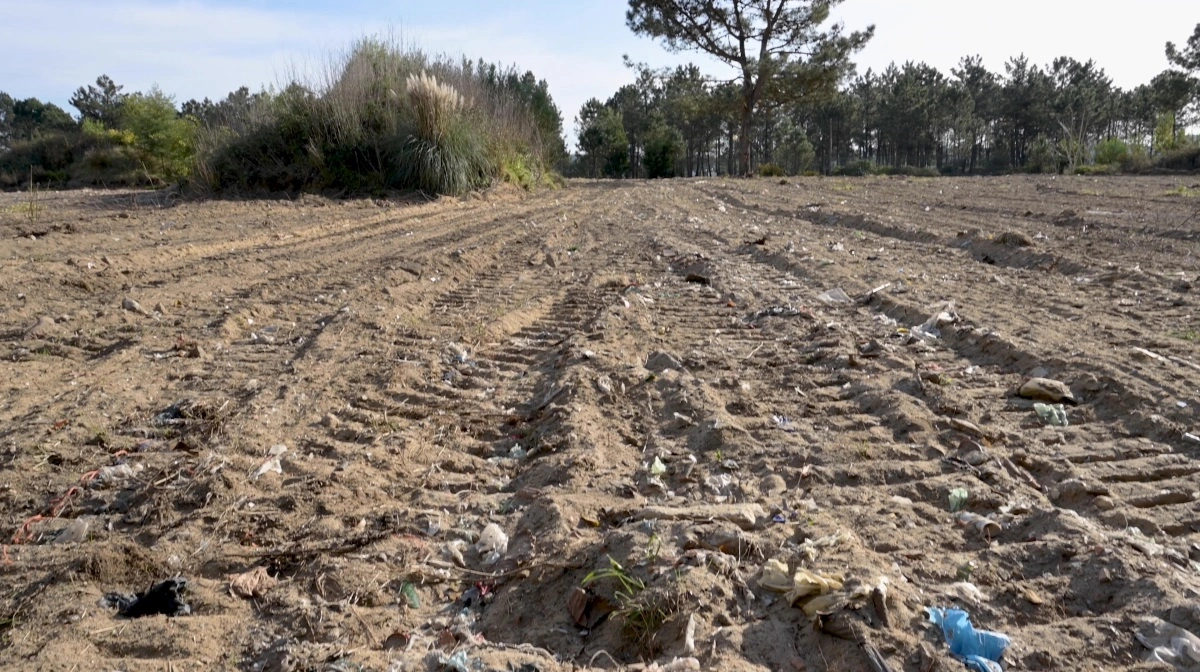 Dumpning af forurenet jord kan være en lukrativ forretning med minimale konsekvenser for bagmændene. Modelfoto: Colourbox