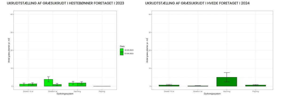 Når man ser på græsukrudt, er der i hvede størst forskel mellem de forskellige dyrkningstrategier. Her er det særligt den harvede parcel, der stikker ud, mens den pløjede og de direkte såede ligger på samme niveau. I hestebønnerne skiller pløjning sig positivt ud. Kilde: Agrovi