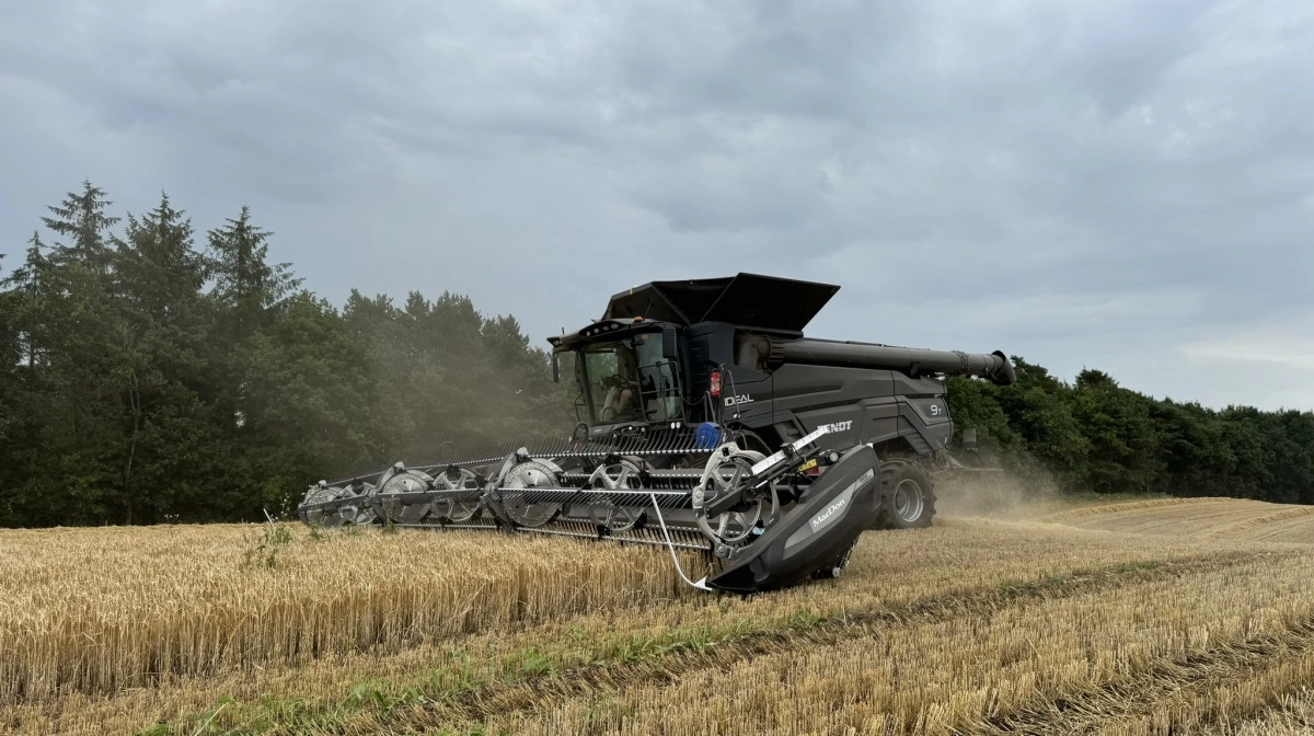 Høsten 2024 var præget af det våde vejr, og det har været medvirkende årsag til udviklingen af mykotoksiner i korn og halm. Arkivfoto: Kasper Stougård 