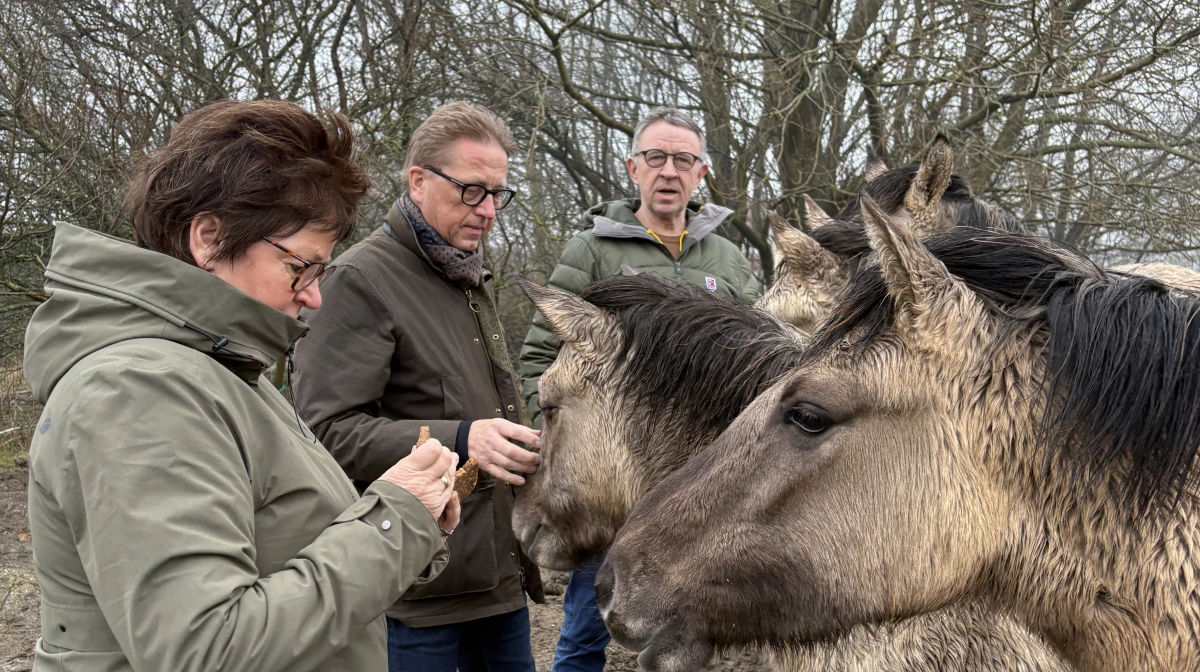 Fredag var ulven omdrejningspunktet for flere møder, da vestjyske landmænd mødte Venstre-kollegerne Anni Matthiesen (tv.) og Asger Christensen (i midten), der er medlem af henholdsvis Folketinget og Europa-Parlamentet. Pressefoto