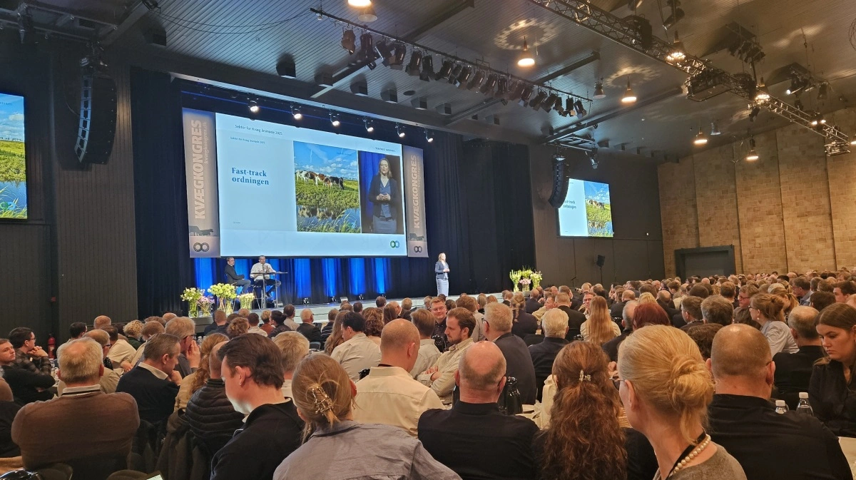 Traditionen tro var der godt fyldt op i MCH Herning Kongrescenter til årets kvægkongres hos L&F Kvæg. Foto: Line Brusgaard