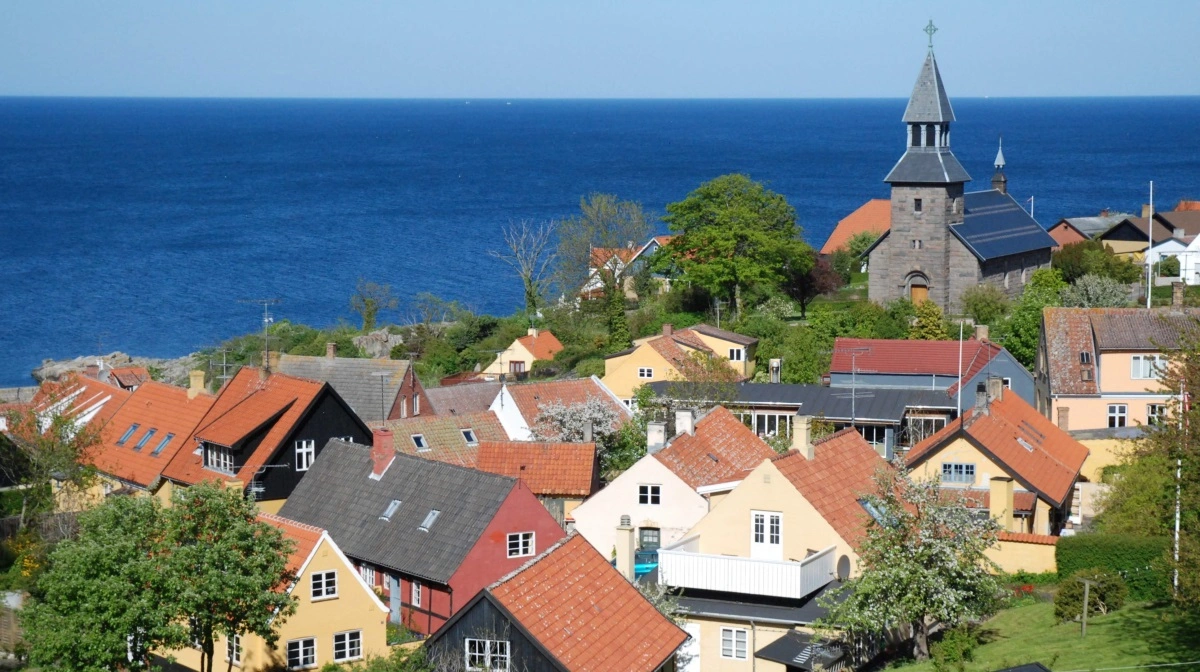 Solskinsøen Bornholm kan nu børste sig af at være helt fri for svinesygdommen PRRS. Arkivfoto