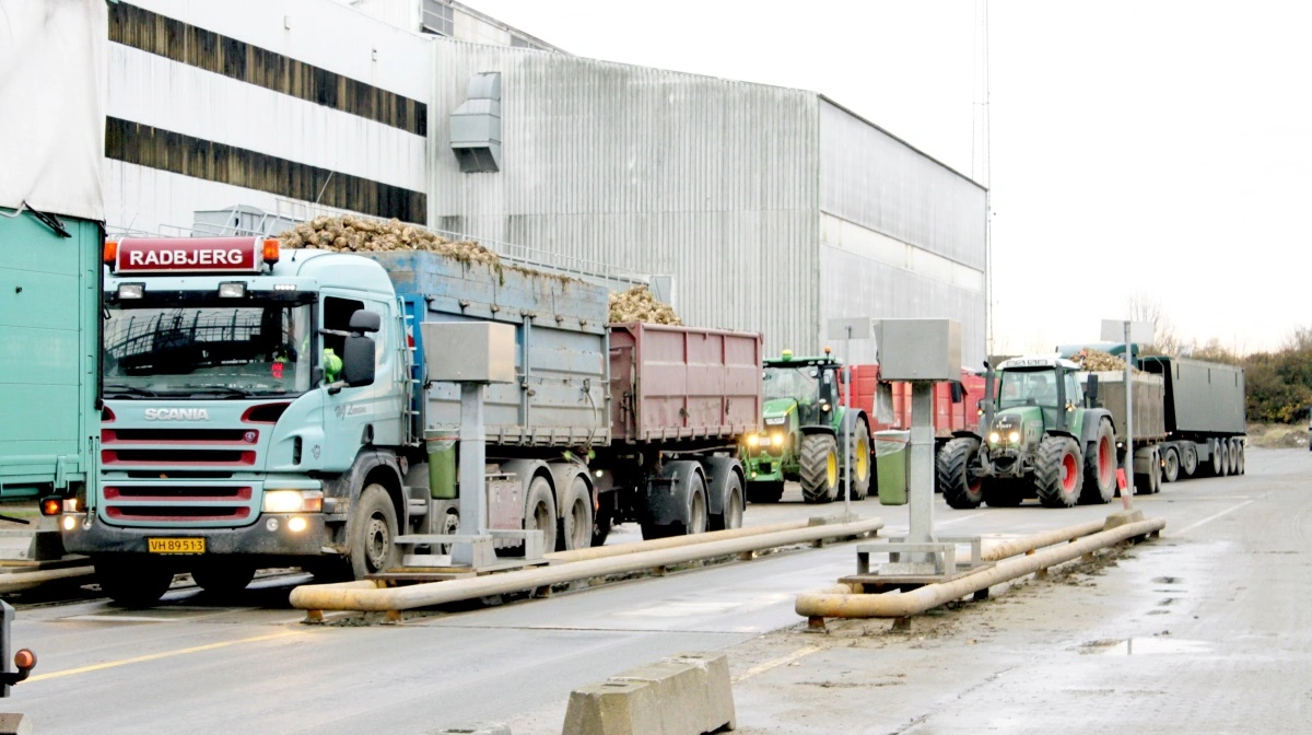 Ifølge Danske Sukkerroedyrkere har Nordic Sugars nye prøvetagere resulteret i for lave renhedsprocenter, hvilket kommer til at betyde en manglende betaling på samlet set 117,9 millioner kroner, hvis man regner 2025-kampagnen med.