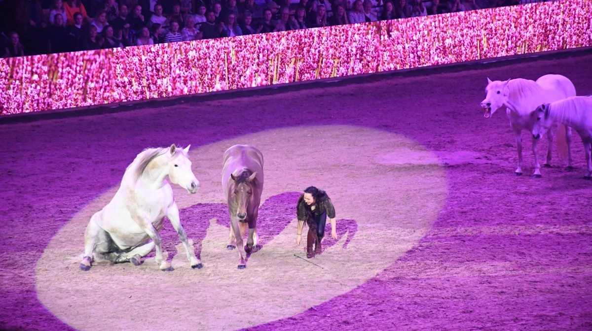 Franske Anne-Gaëlle Bertho viser frihedsdressur med sine fire heste, en miniature pony og en hund.